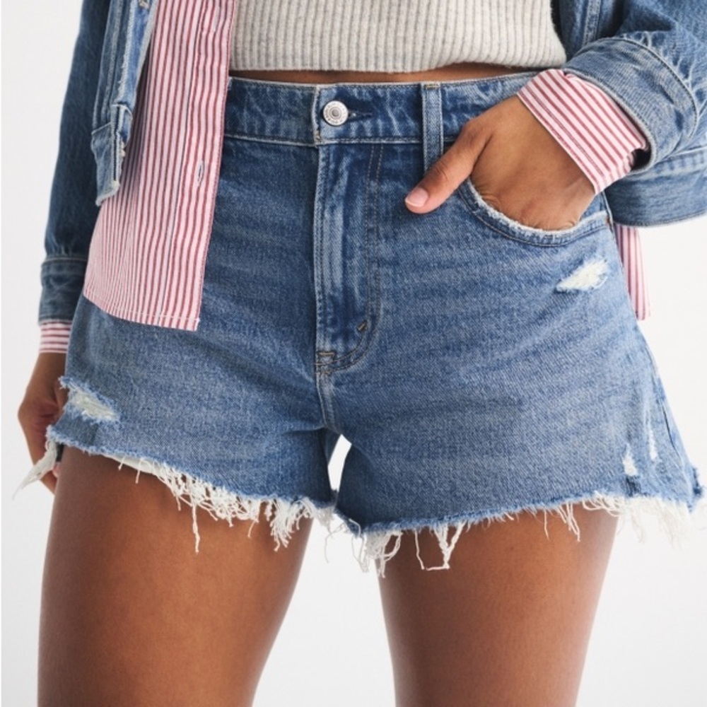 Abercrombie & Fitch Curve Love High Rise Denim Mom Short Women Size 30
